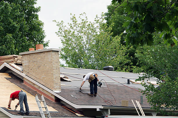 Best Roof Insulation Installation  in Exandria, AL